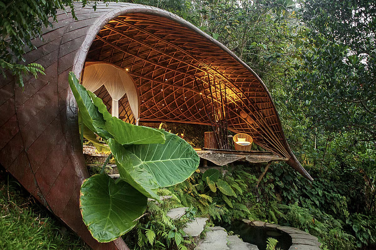 5 Day Subconscious Rewiring & Yoga Retreat in Ubud, Bali