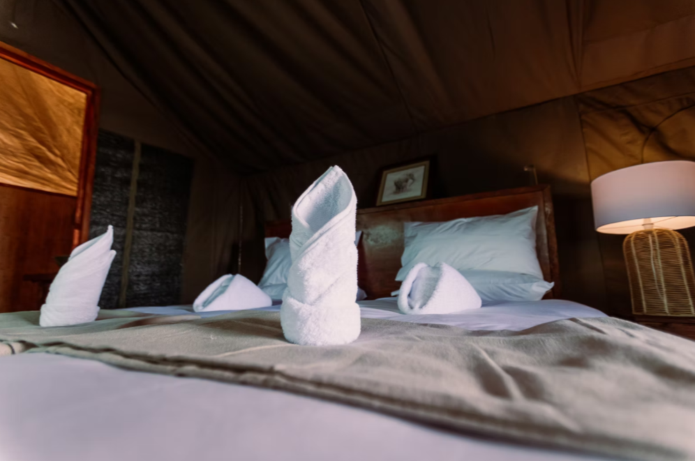 7 Day Botswana Mindfulness Safari Retreat