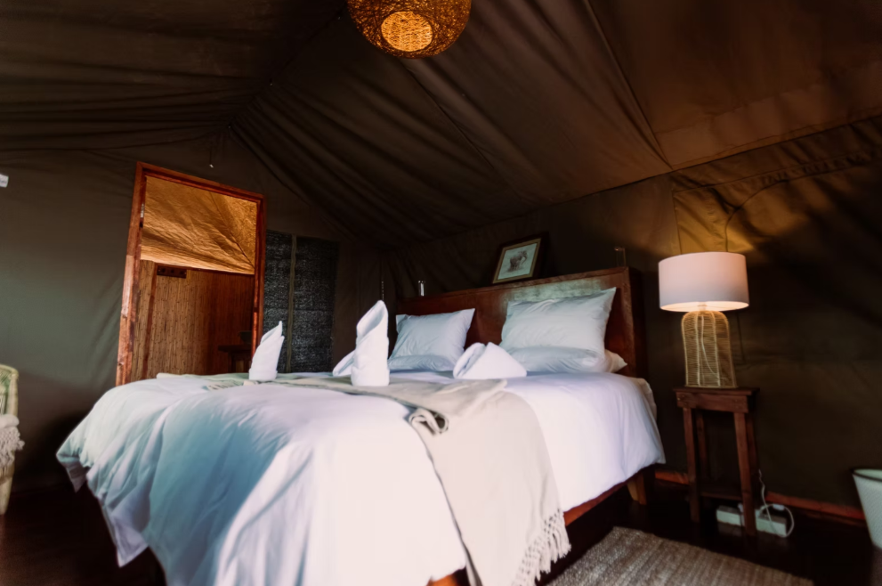 7 Day Botswana Mindfulness Safari Retreat