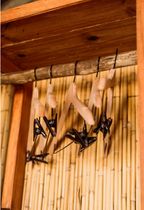 7 Day Botswana Mindfulness Safari Retreat