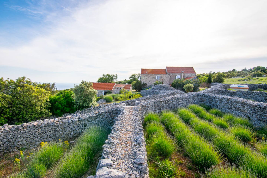 5 Day Summer Reset Retreat 