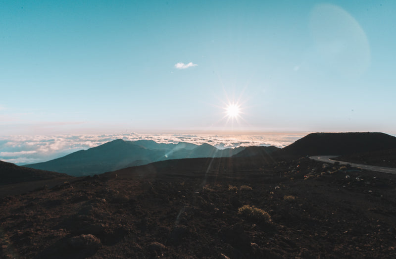 7 Day Wave & Soul RetreatRelease, Renew, and Ride the Waves