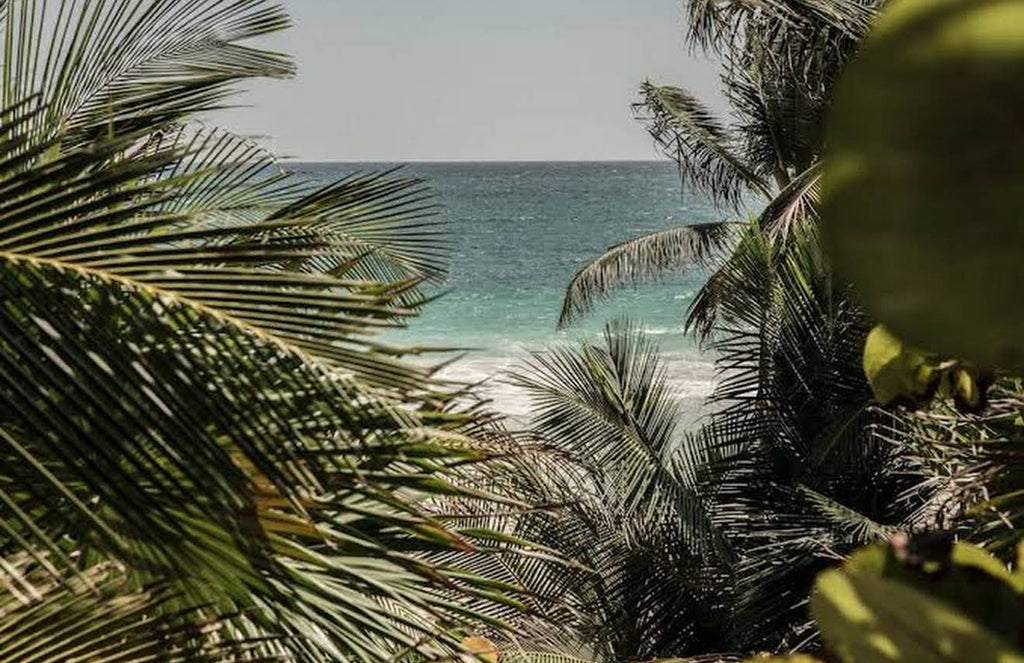 5-Day New Year’s Retreat in Tulum - Jungle, Sea & Ceremony