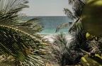5-Day New Year’s Retreat in Tulum - Jungle, Sea & Ceremony