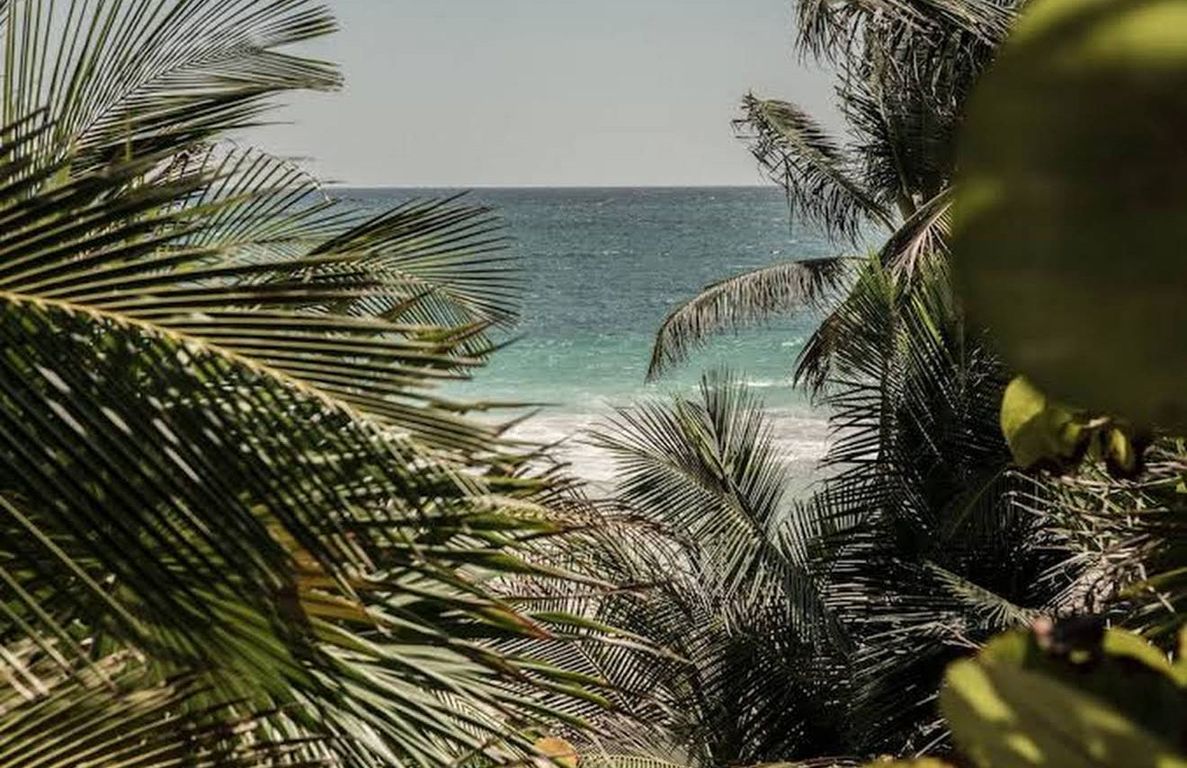 5-Day New Year’s Retreat in Tulum - Jungle, Sea & Ceremony