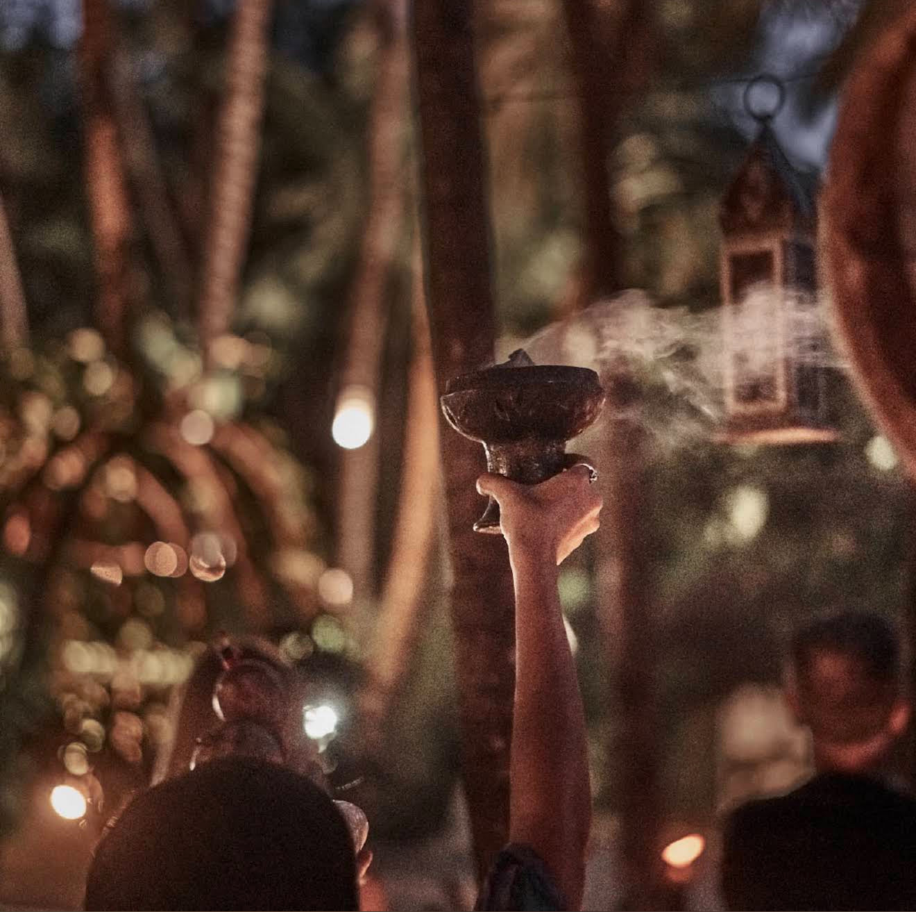 5-Day New Year’s Retreat in Tulum - Jungle, Sea & Ceremony