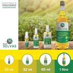 Concentrated Chilcuague Extract