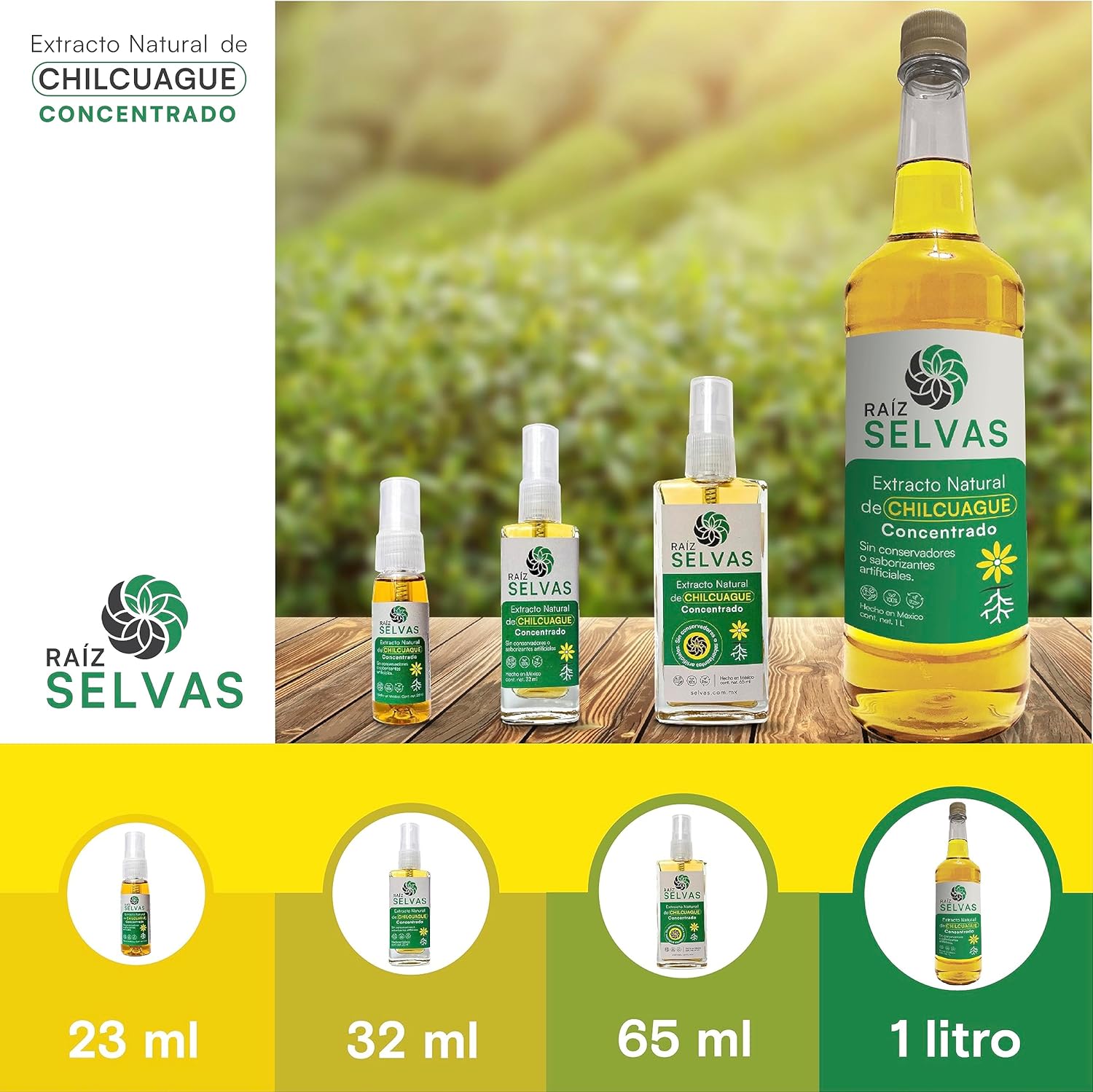 Concentrated Chilcuague Extract