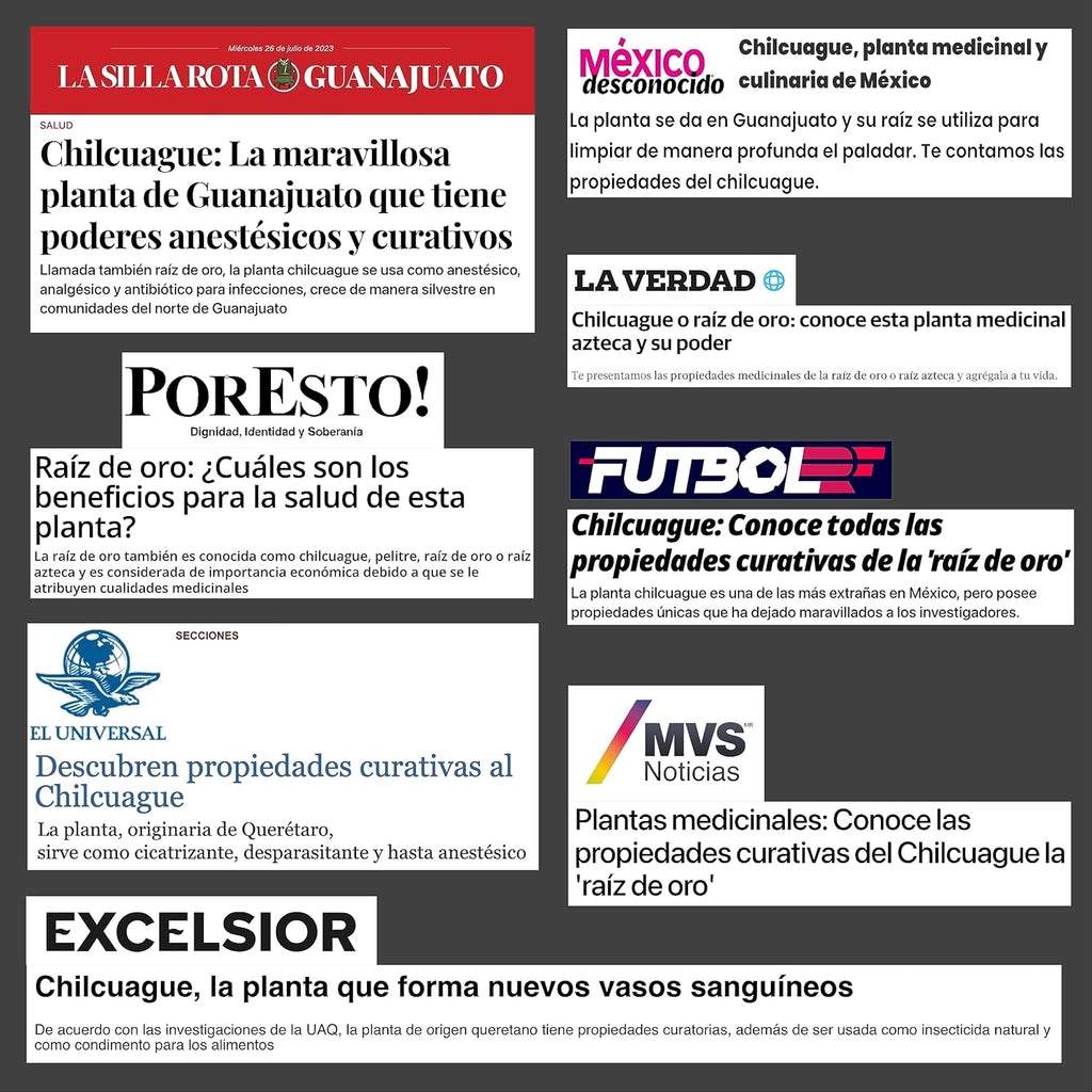 Concentrated Chilcuague Extract