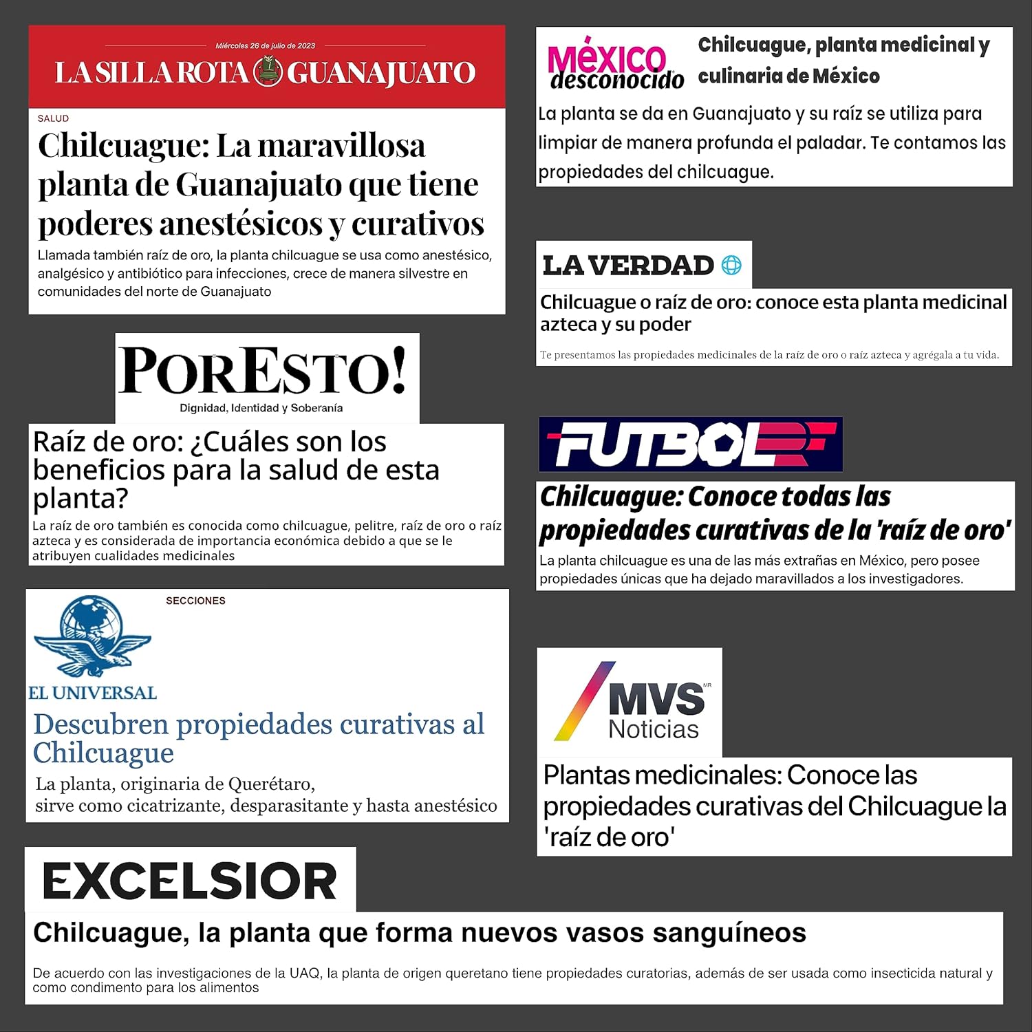 Concentrated Chilcuague Extract