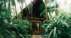 5-Day New Year’s Retreat in Tulum - Jungle, Sea & Ceremony
