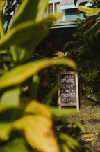 7 Day Inner Landscape Retreat - Somatic Practice and Soulful Rest in Maui