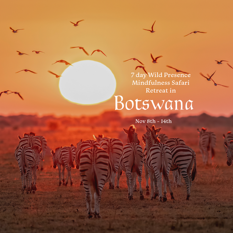 7 Day Wild Presence Retreat